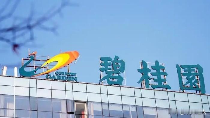 2021年，碧桂园旗下公司砸了20亿，拿到长鑫9.01亿股。当时长鑫估值才200