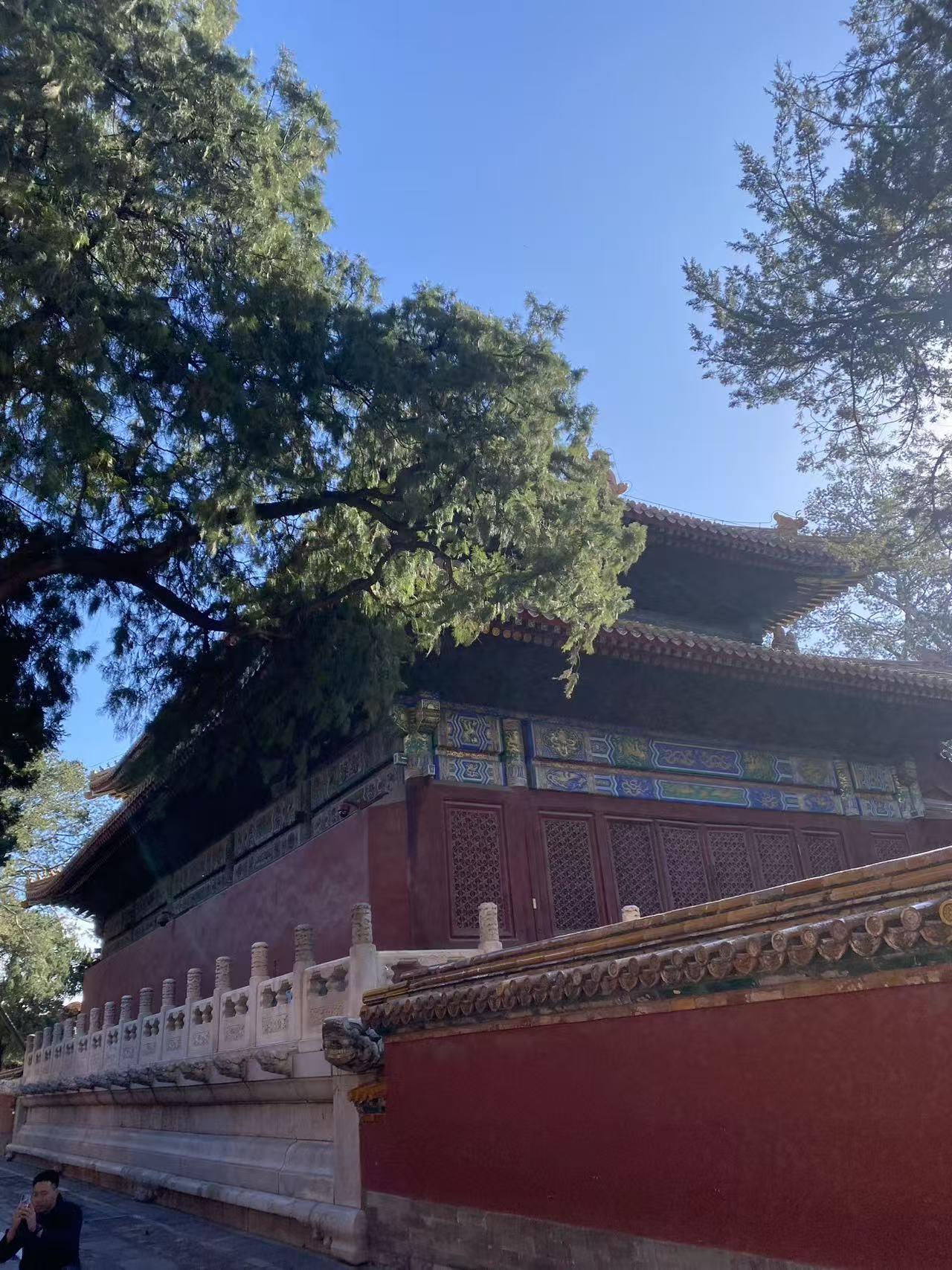 年纪大了真不适合旅游我二婶今年75岁了，这几天去了北京旅游，五天四夜，每天都要