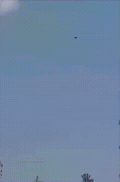 根据央视新闻的报道，当地时间2月23日，墨西哥国防部长特雷维利亚披露了，墨西哥军