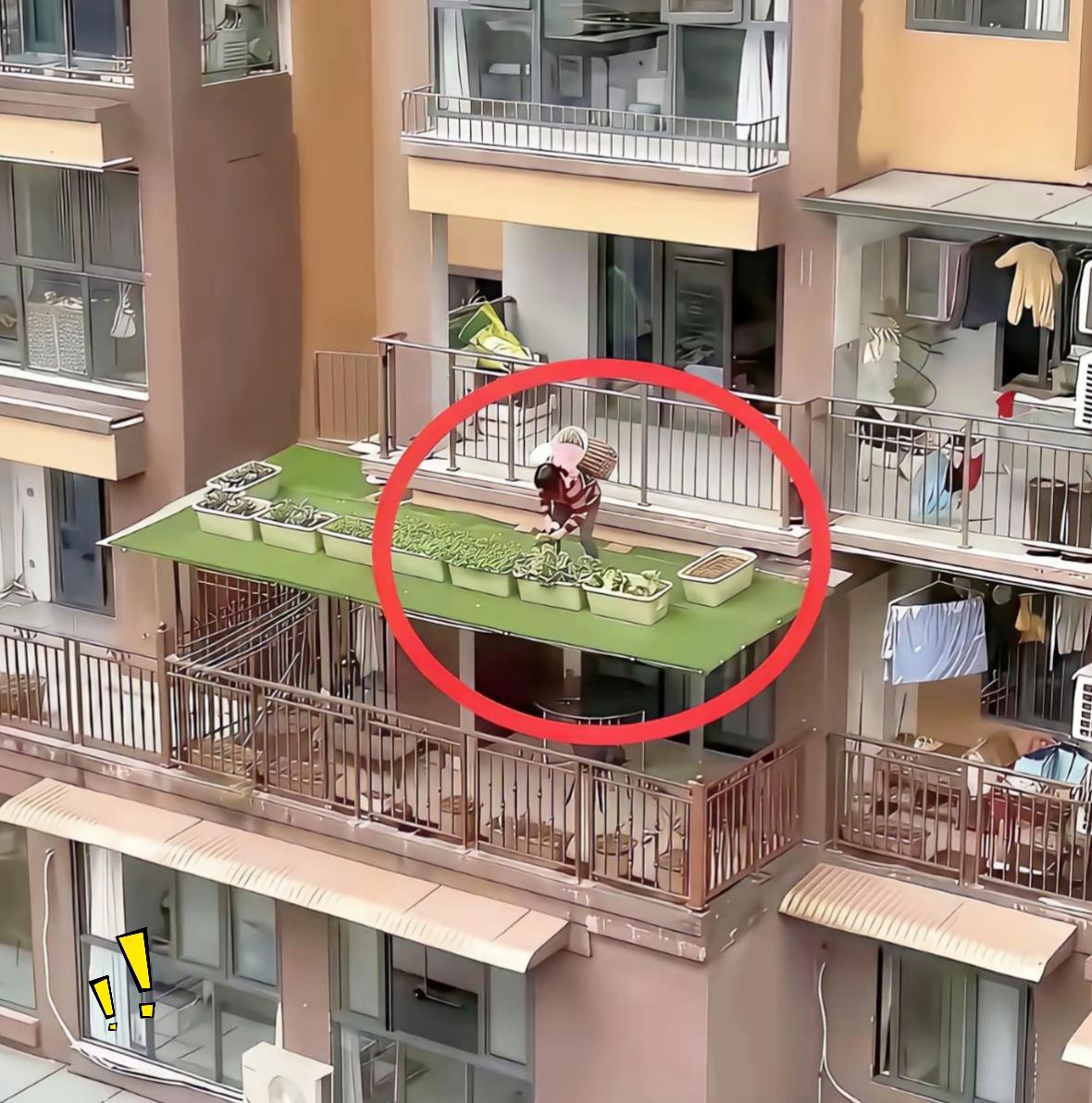 住在高层楼房的朋友都来评评理，见过在这种位置种菜的吗？小区高层的露天平台，阿姨
