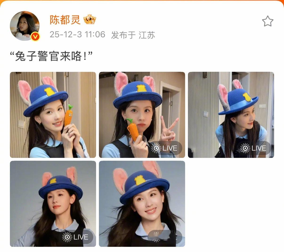 这简直是兔子本兔！！！