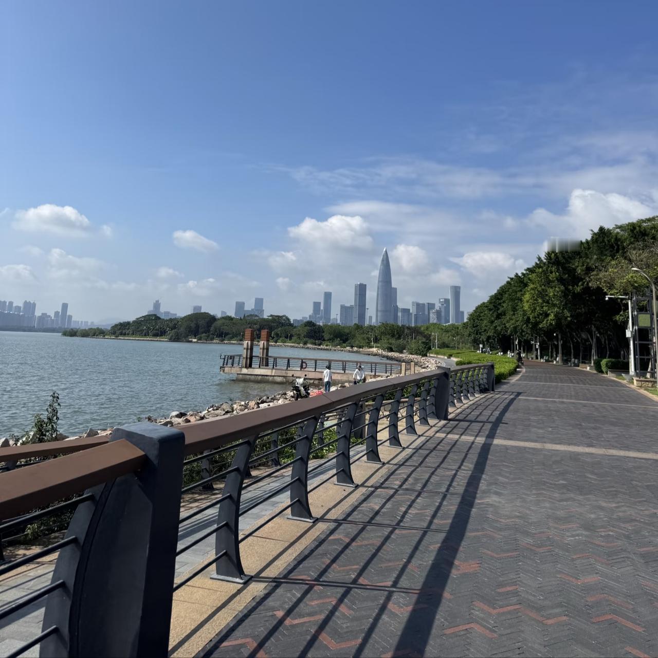 深圳湾的夏天，是把蓝天、碧海和城市天际线揉在一起的治愈。沿着步道慢慢走，阳光