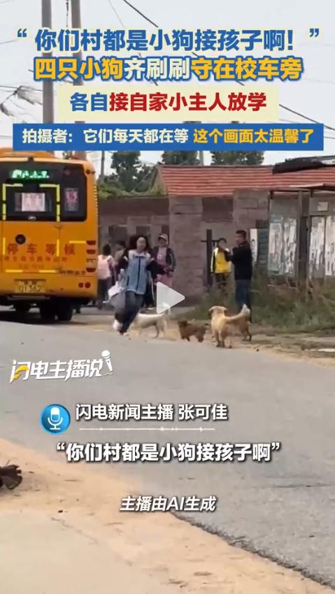 泪目了！几只小狗齐刷刷守在路边，车还离得老远，它们就趴在门口疯狂摇尾巴。拍摄视频