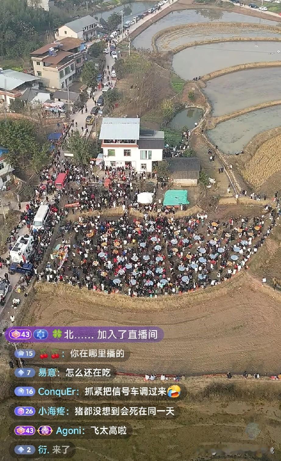 呆呆妹一个人带火了一条村!重庆合川庆福村彻底被呆呆妹的杀猪饭带火了！这个原本安