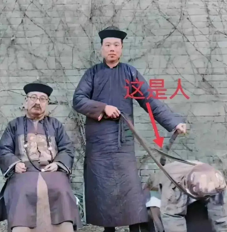 看完之后我明白清朝为什么亡了