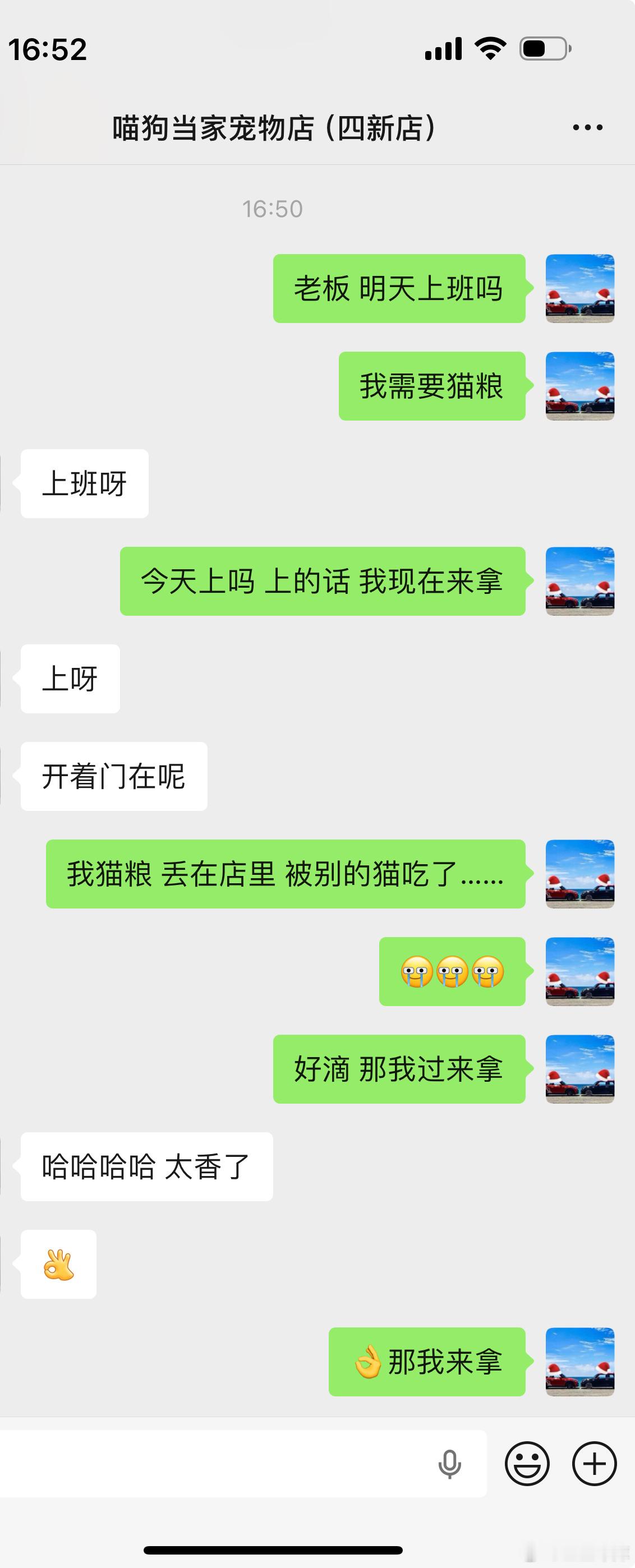 我真的服了！！！猫粮又被偷吃完了