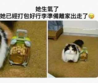 不好意思，你刚刚说什么?