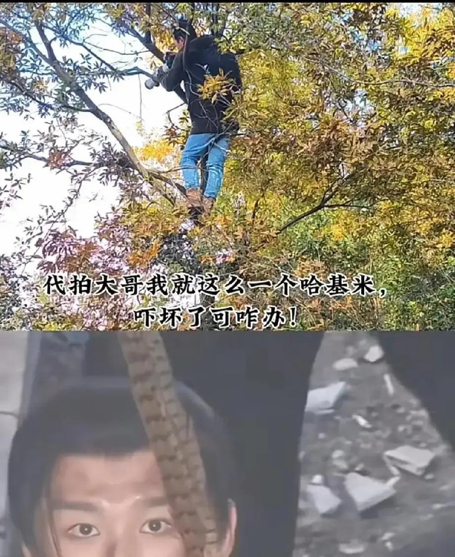 你敢信？爬树摔进古装布景、挂三楼阳台直播——代拍的疯狂操作，终于要撞上“法律铁