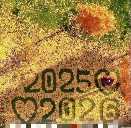 近日，南京一位保洁员大爷把掉落的每一片银杏叶，都打造成爱心形状，摆成2025[心