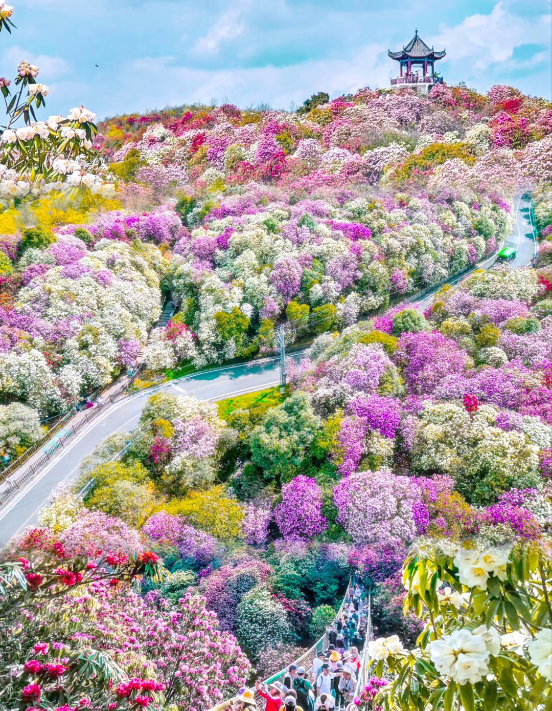 郭碧婷关美颜：这可能是向佐唯一做对的一件事郭碧婷直播关美颜了。就那么素颜，怼