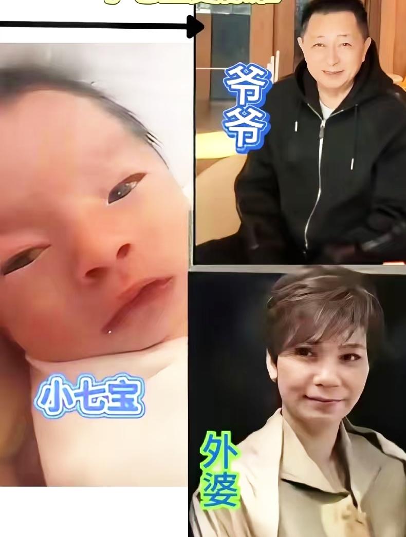 马筱梅儿子太会长了，完美融合爸妈基因，眼睛神似汪家，眉眼清亮、鼻梁挺括，自带汪家