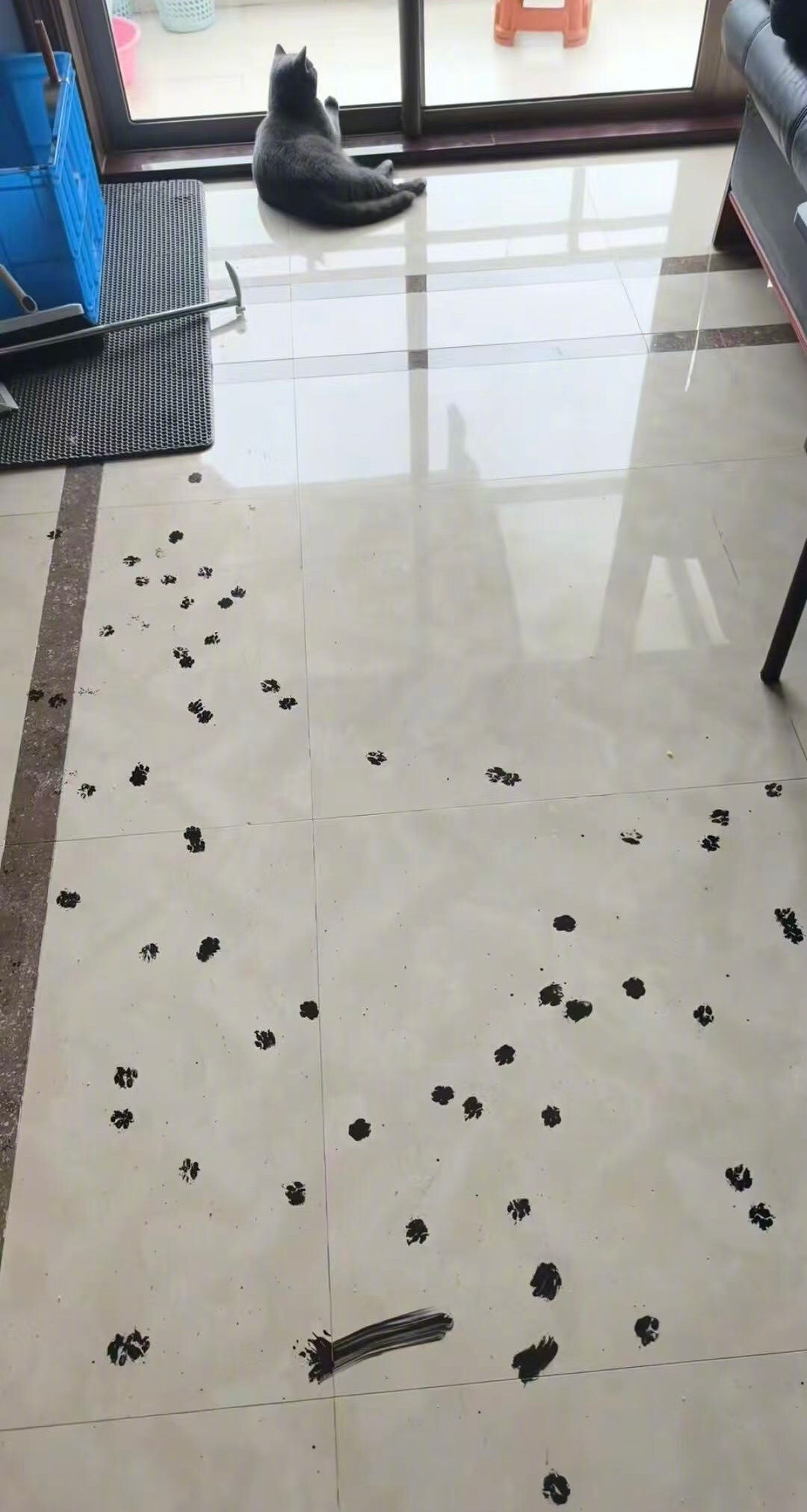 猫和老鼠果然是纪录片[捂脸哭]​​​