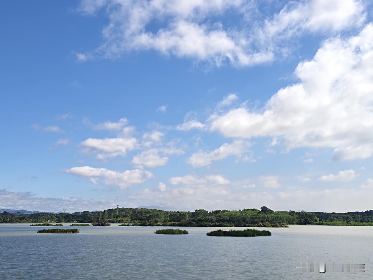 广州十一月份人气爆火的景点有哪些？①广州园林博览会（主园区）：国际级园林展览