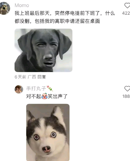 对不起，笑出声了