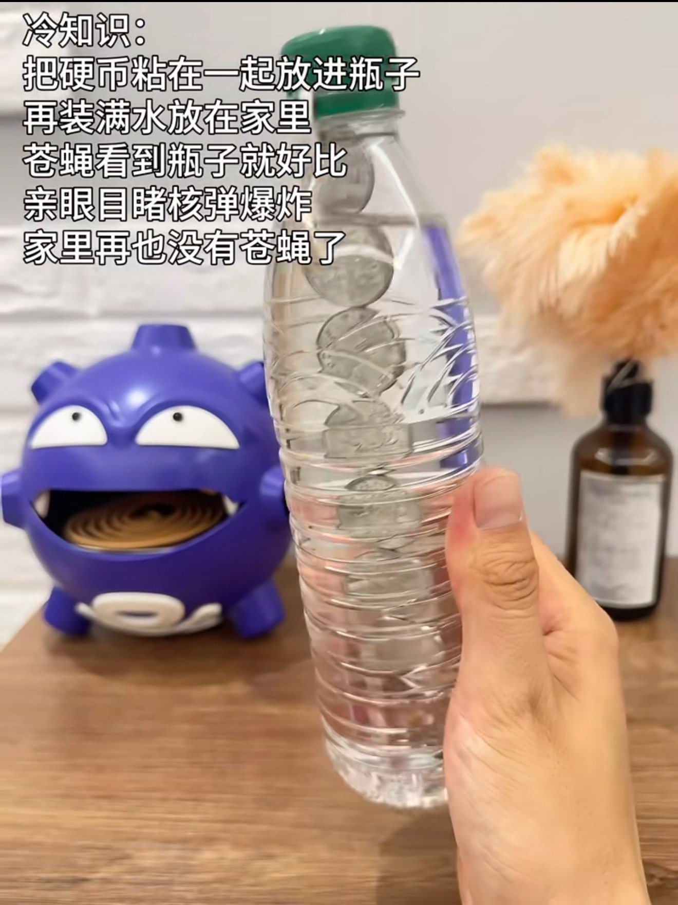 夏天苍蝇卵，求苍蝇灭绝…世界上怎么能有苍蝇和蚊子这么令人厌恶的生物啊！！！再教