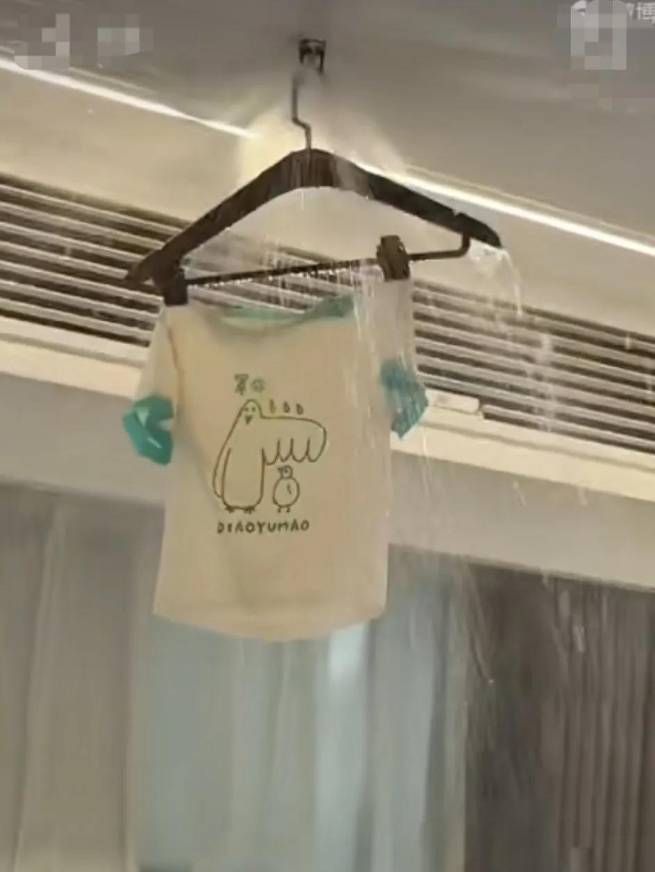 做错事，还倒打一耙，这小仙女也太会推脱责任了。一女生入住酒店，把洗完的衣服挂在