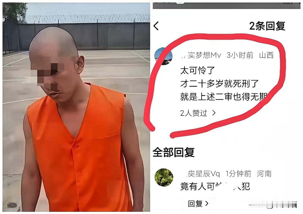 反转！金毛事件背后竟藏惊天真相，老金毛隐身幕后，网络力量成最后救命稻草？