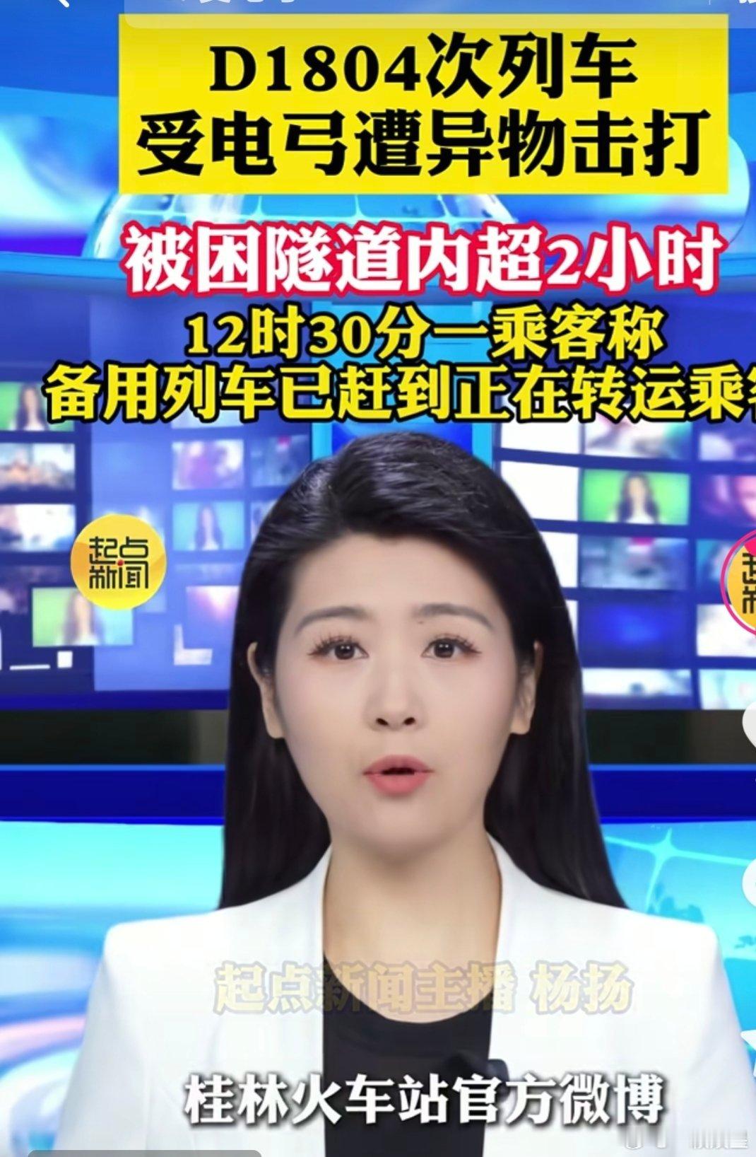 D1804次列车受异物击打临时停车没看懂，什么叫受电弓遭异物击打一、事件概况5