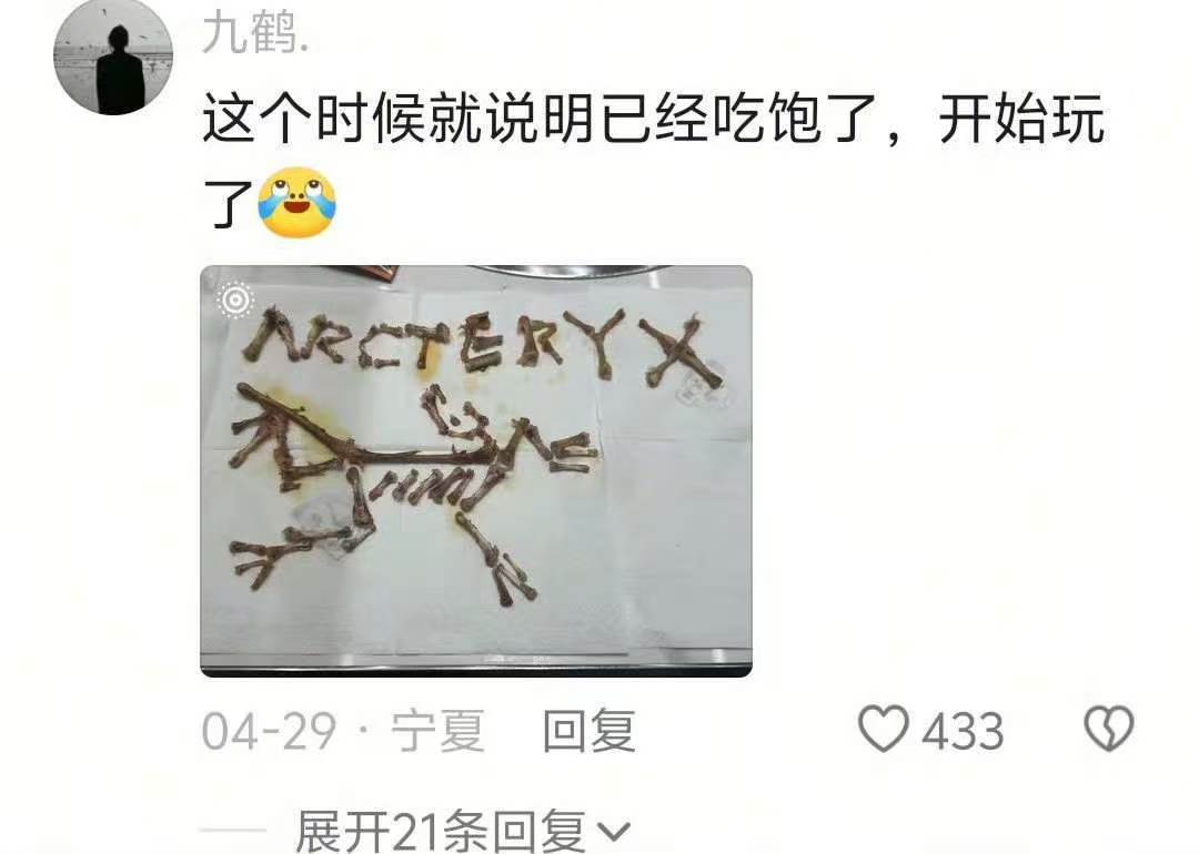 我就说，人在极度饥饿的情况下可以吃掉一整只恐龙