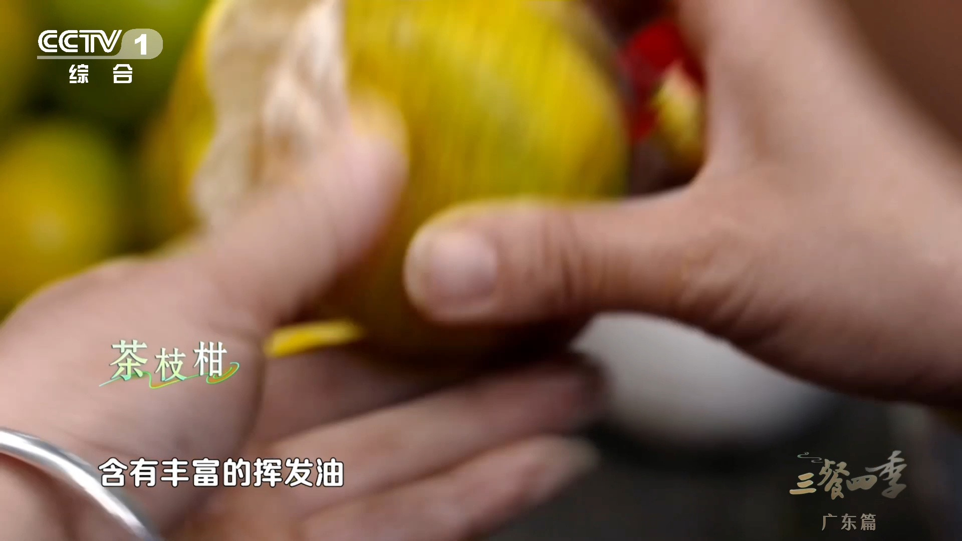 正宗广东新会陈皮的年份如何鉴别老饕私藏的陈皮鉴宝指南！从鲜橘到薄纸，20年陈皮褪