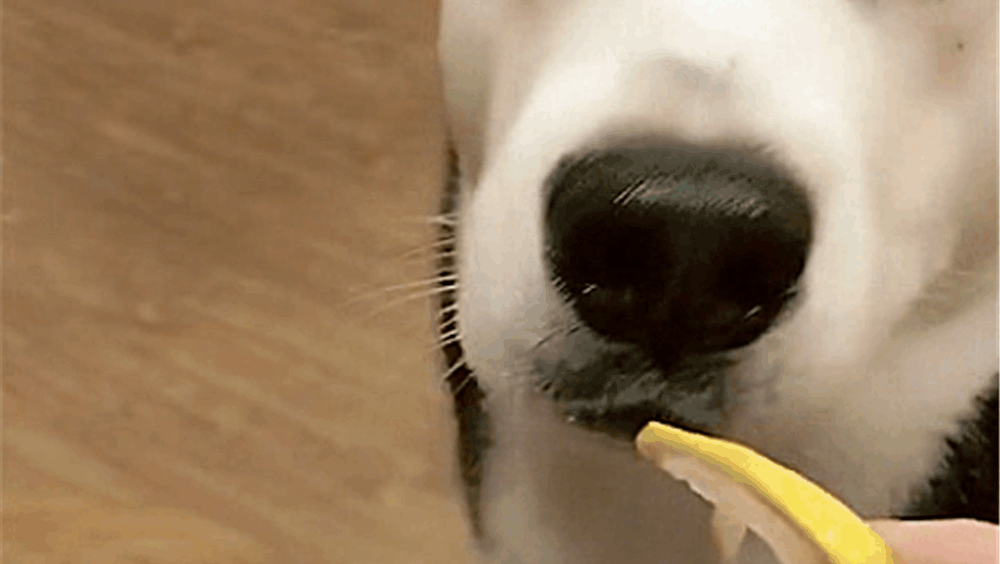 柠檬天使计划[第8集]_土豆视频