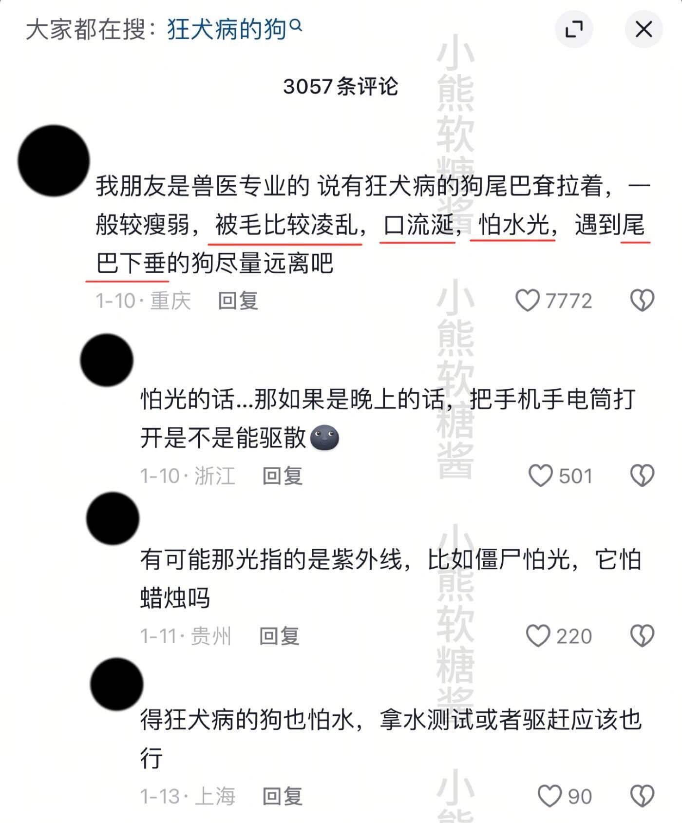 保命冷知识……尾巴下垂的狗狗！！