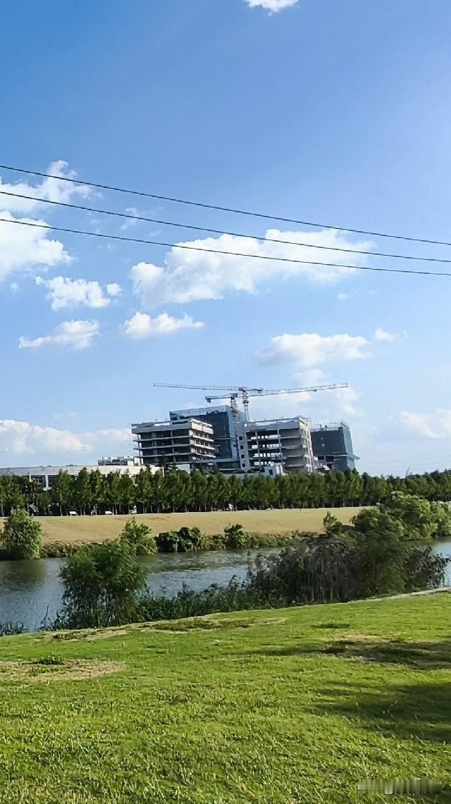 冷空气南下，南京今天直接降温，最高温才29度，秋老虎这点余威真的晃不了几天了。