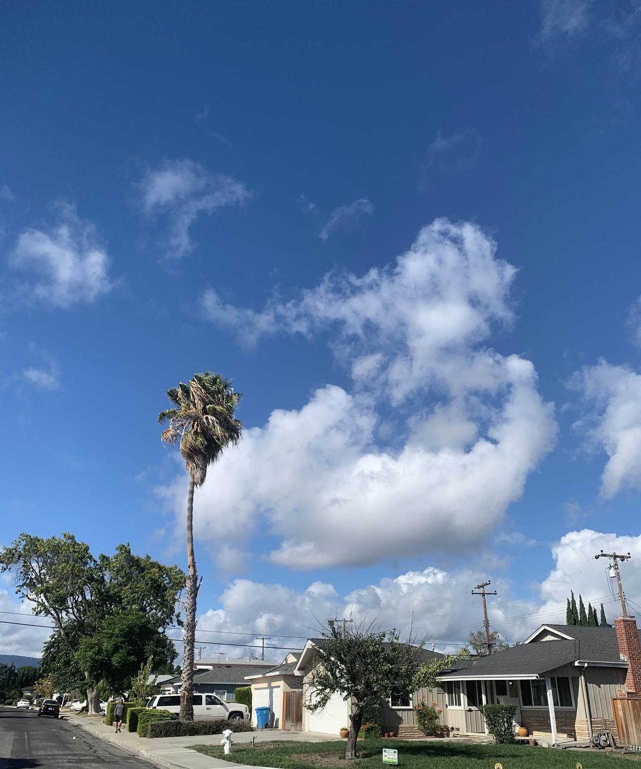 我想到北京郊区租个农家院，一二百平米，装修好的，可以拎包入住，租金可以月结季结或