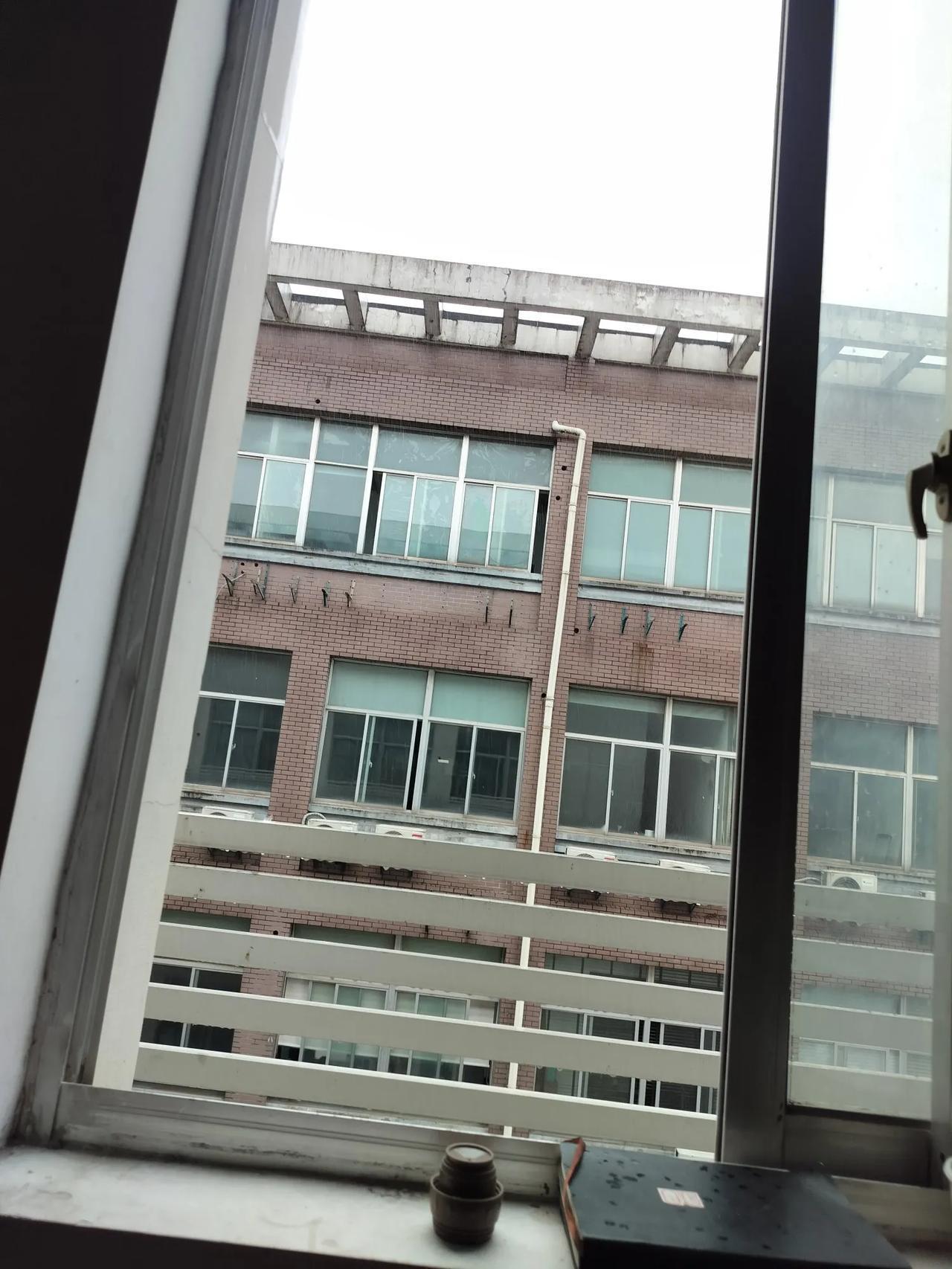 儿子结婚后，心里暗自发誓一定要做个好婆婆。待儿媳要胜似亲儿子。我