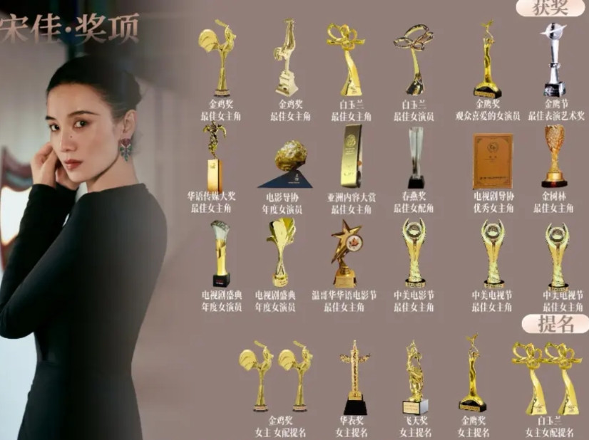 有网友说宋佳五个大奖水了三个给大家捋一下宋佳比较重要的奖，有两次白玉兰，两次
