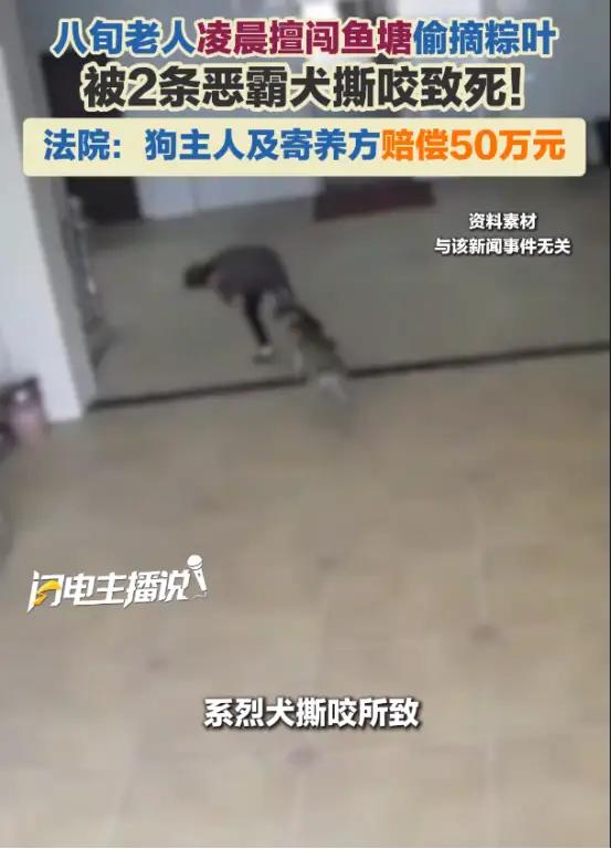 上海，一位80多岁的陈老太因年纪大睡不着，凌晨五点出门溜达。她来到一片私人鱼塘，