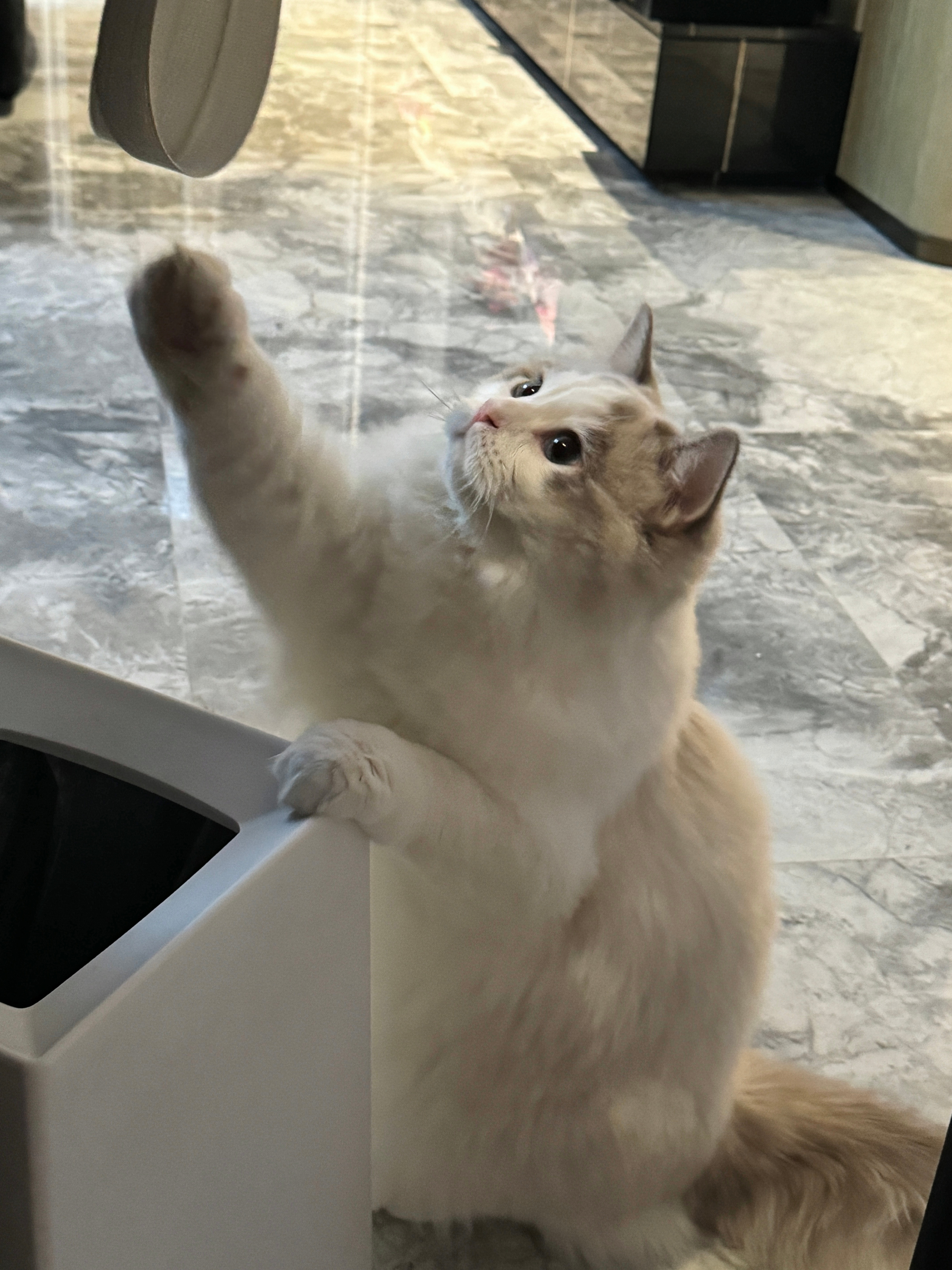 啦啦啦​​​