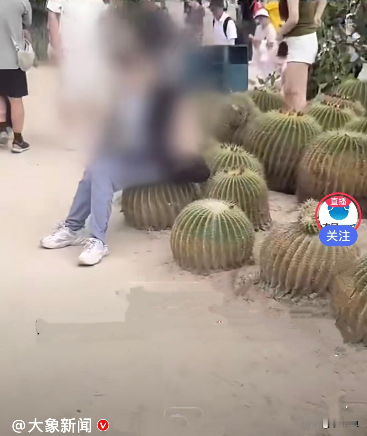 真是啥人都有……近日，福建厦门植物园出现一幕让人看不懂的迷惑操作，植物园多肉区