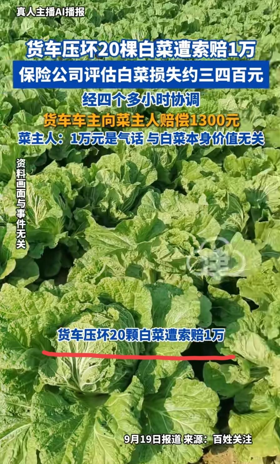 “讹人？”辽宁，一货车司机倒车时，不小心压坏了二十多棵白菜，结果对方开口就让他赔