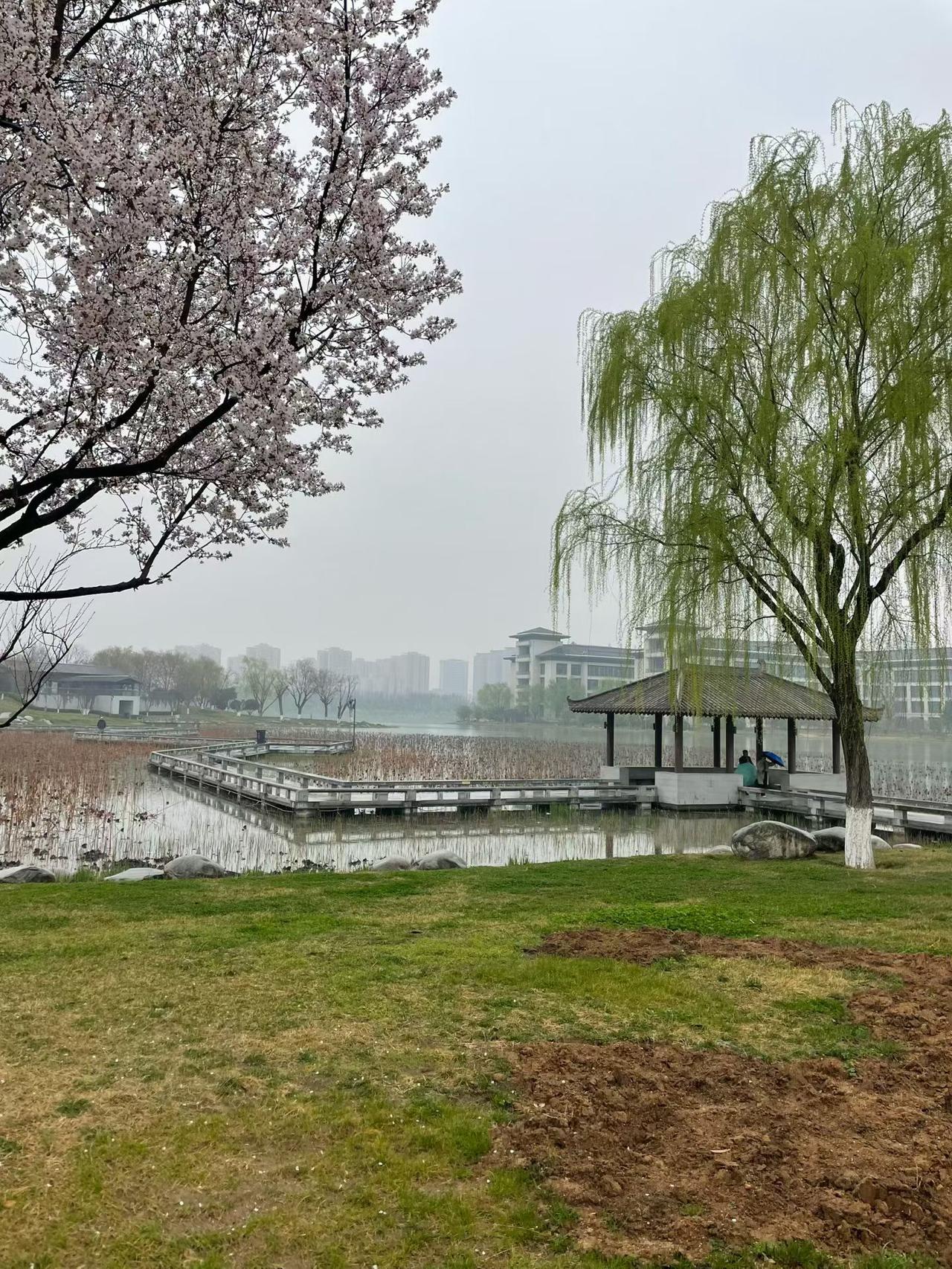 腐败校长一上位，就把学校变成了自己的私人大棋盘，把教育下成了一盘权术棋。自己躲