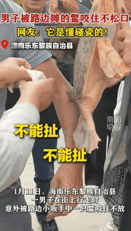 “万万没想到！”1月13日，海南，一名男子走在街上，突然感觉手臂被什么东西给咬住