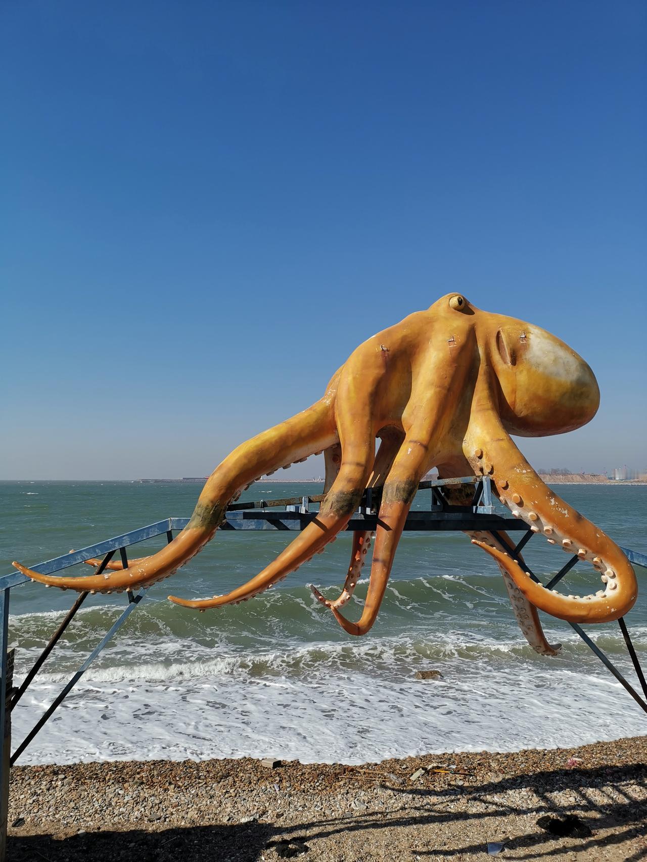 旅行随手拍大年初一旅顺海滨行记