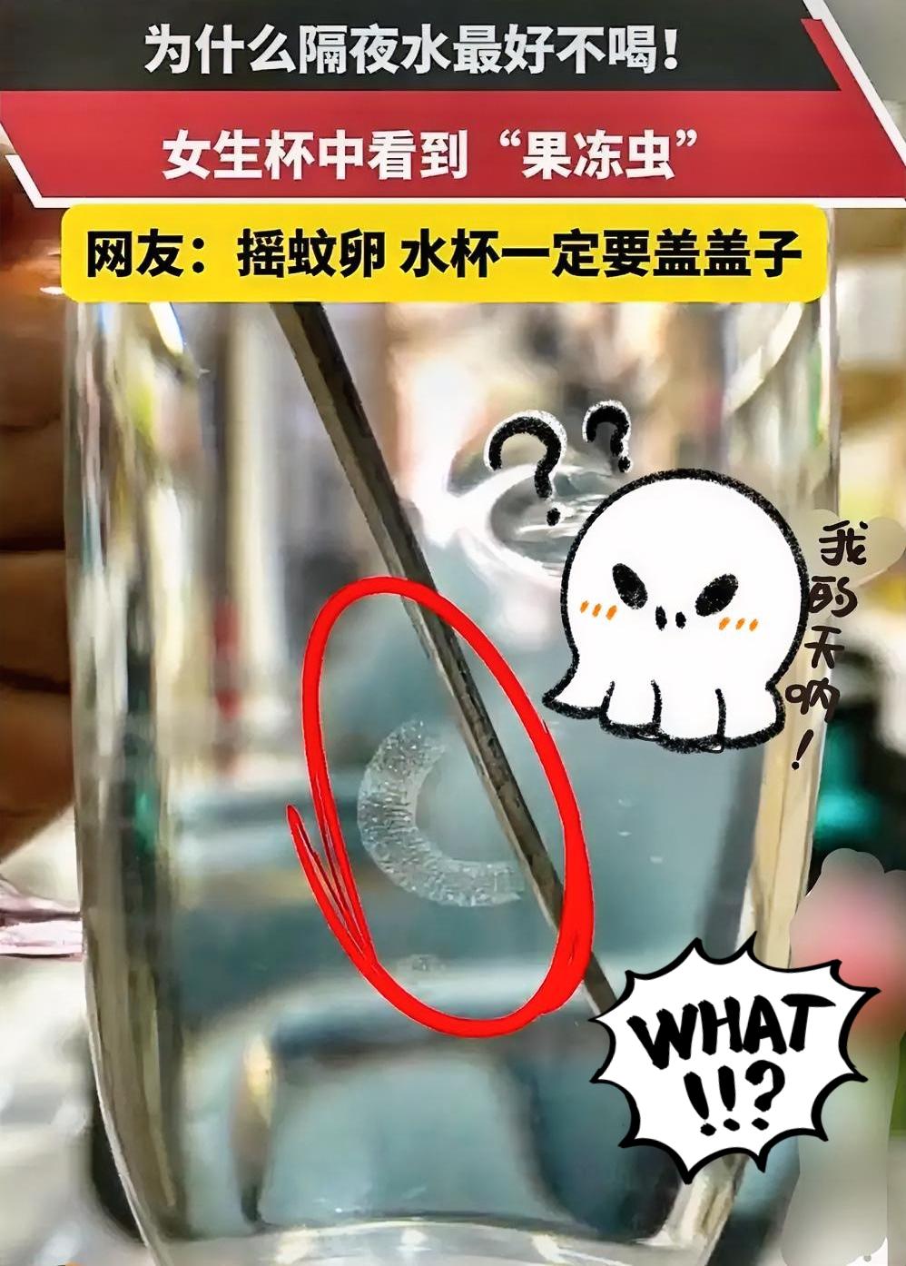 惊呆了！隔夜水里会有这样的虫卵[惊恐]说是隔夜水必加盖子不然被虫子产卵，