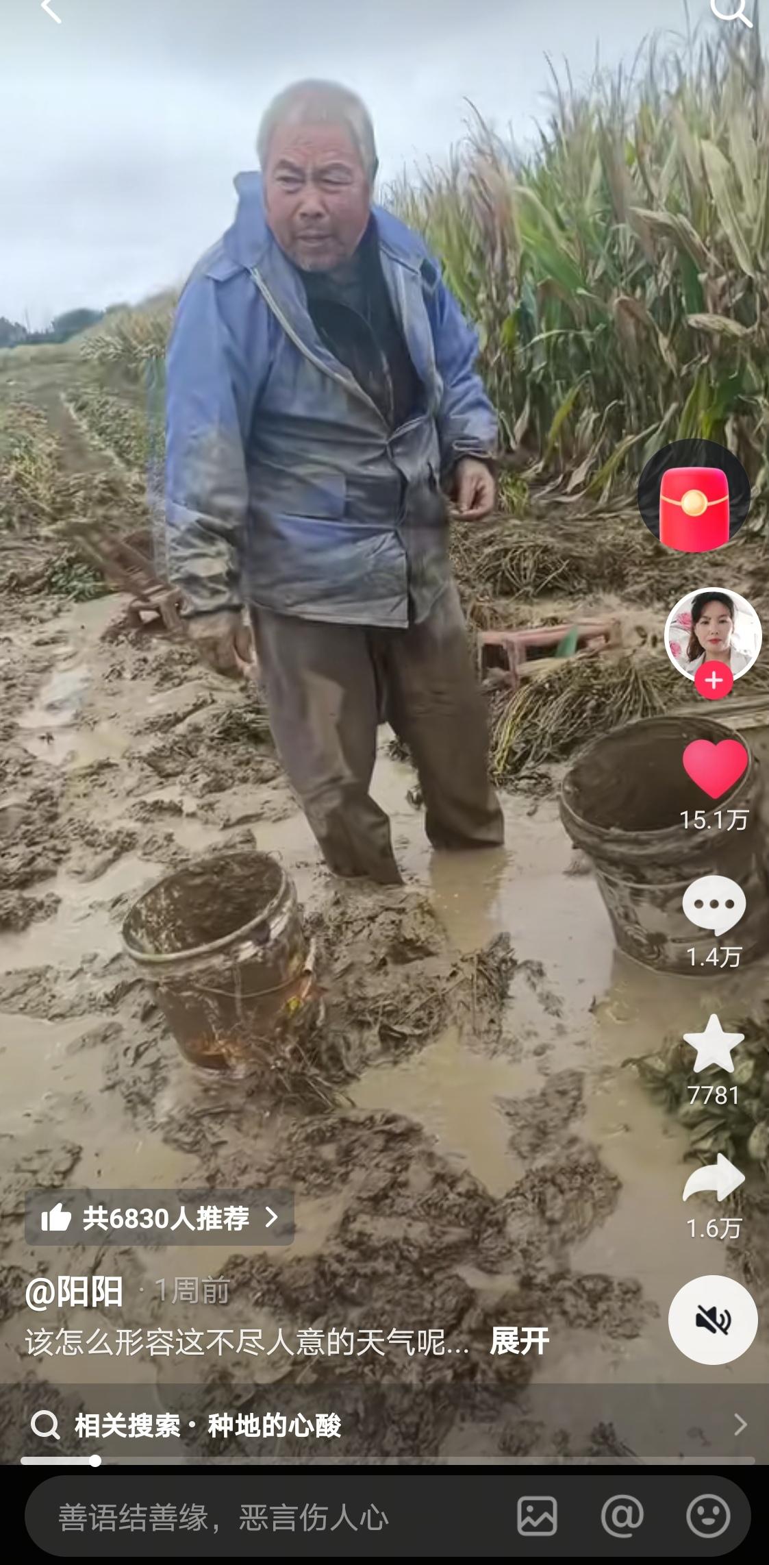 当你看到河南农民冒雨在满是雨水泥水的玉米地里收玉米的场景，你还会再嘲笑农民吗？这