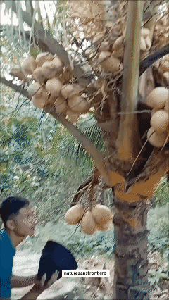 啥家伙？毛茸茸的，真可爱！[哭哭]