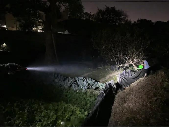 我奶半夜去浇菜地，我让她带个手电，她说她有手机，不用带手电，我寻思一个手机能有多