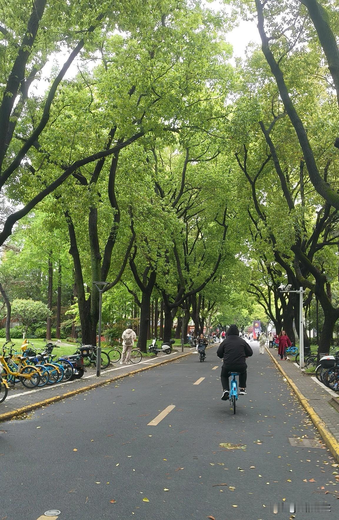 中外合作办学，你真知道他的意义吗？昨晚和高三家长聊天，他说不要太焦虑，但