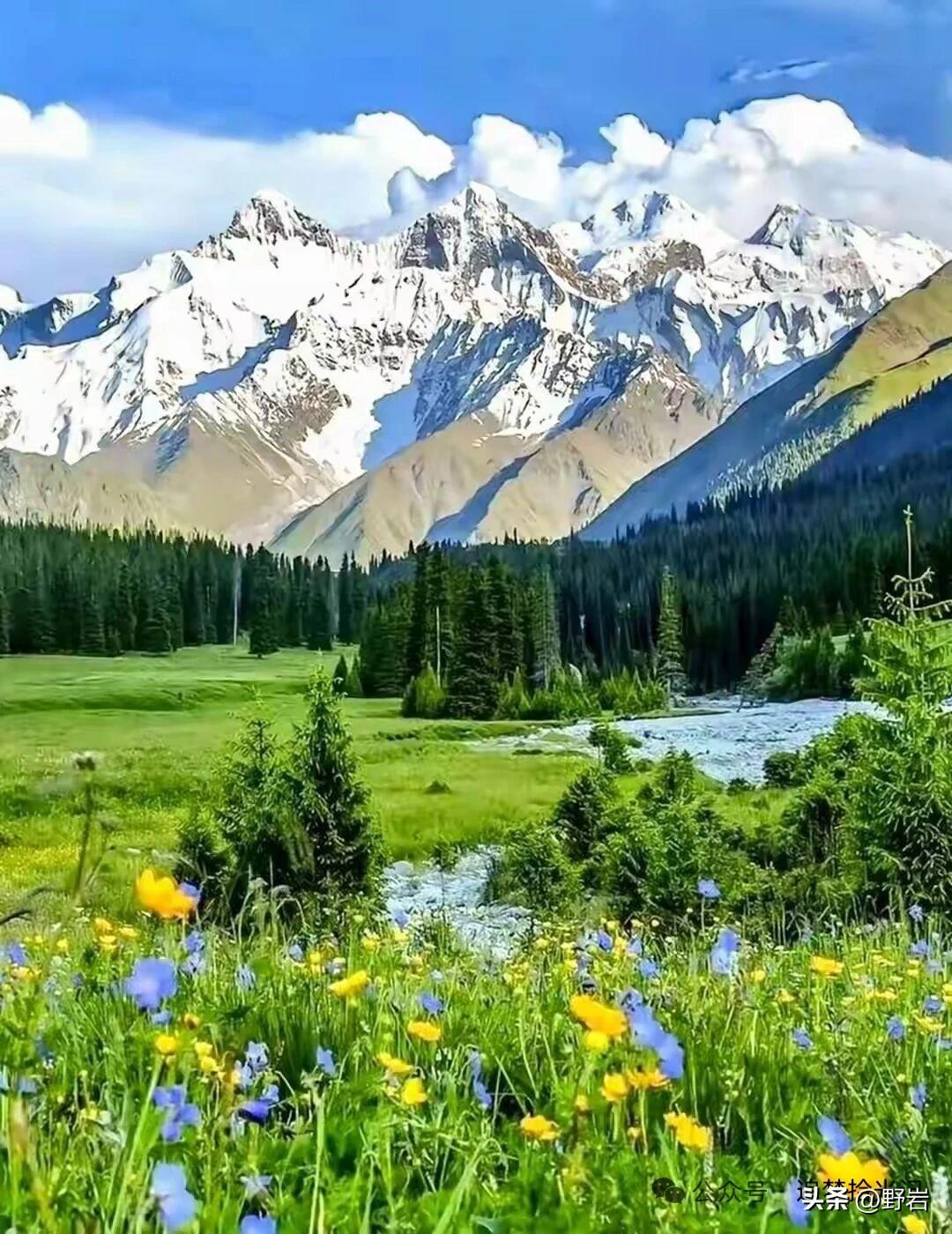 老祖宗藏在日常里的养生智慧第一，晨起温水，不贪凉饮。第二，三餐七分饱，切