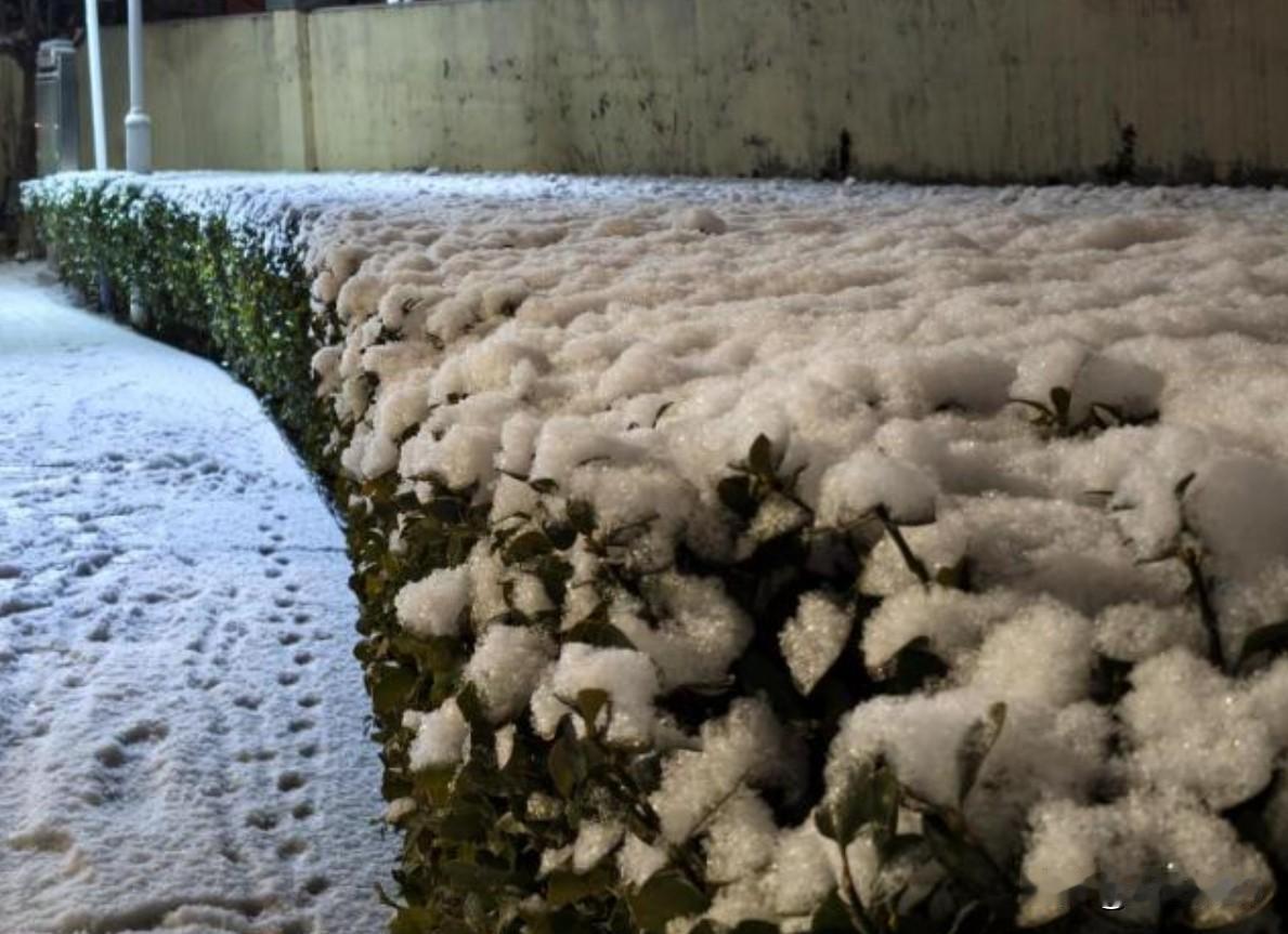 北京这次降雪，雪花大得让人惊叹！究竟是什么原因让雪花变得如此之大呢？气象部门给出