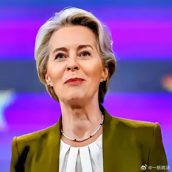 刷到个新闻，差点给我笑精神了。欧洲那位大姐，冯德莱恩，对着全世界喊话：我们不接受