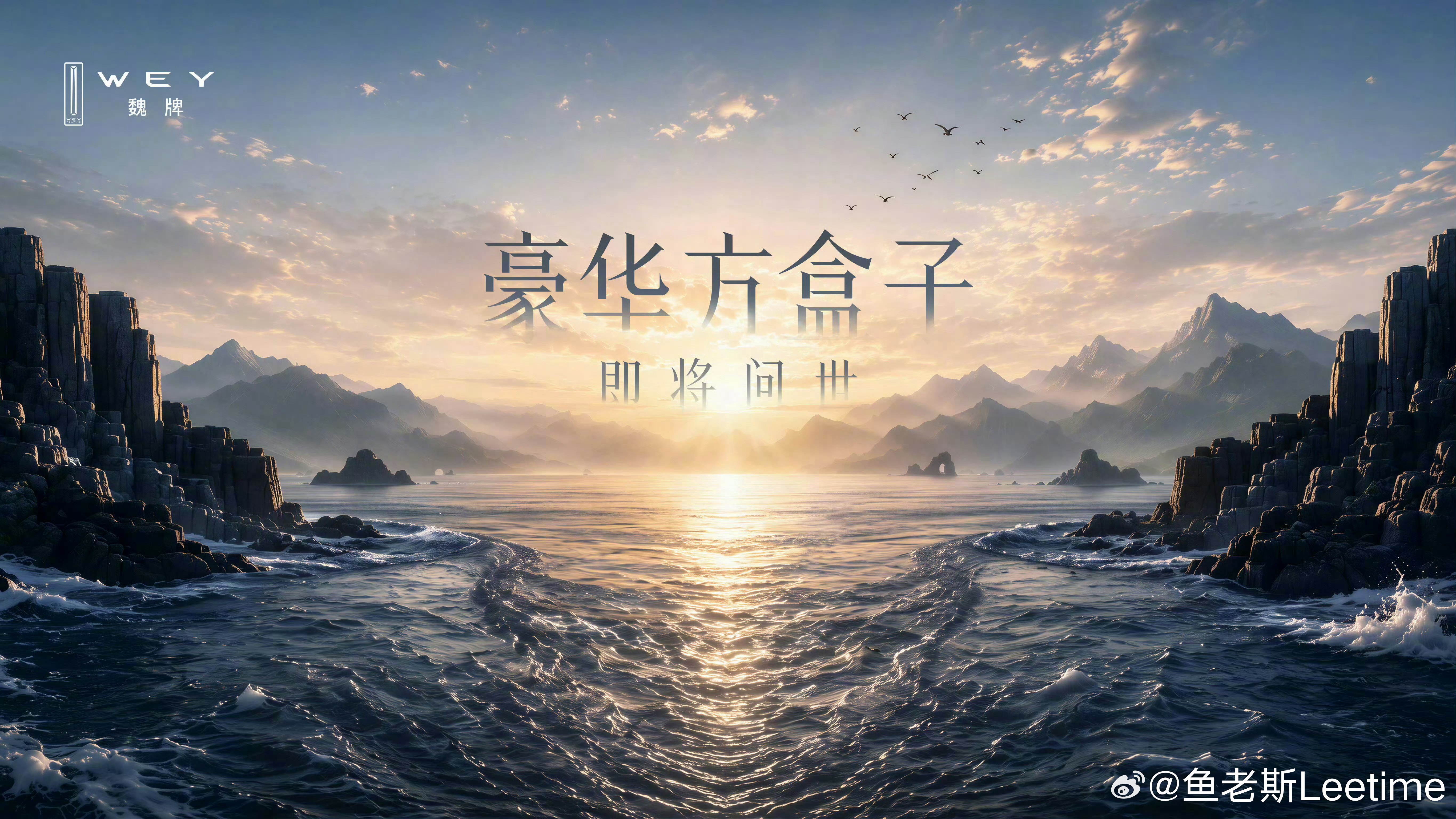 魏牌的方盒子要来了！这才对味儿嘛！[大笑]​​​