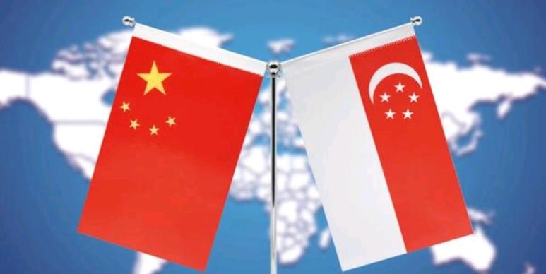 6月20日，新加坡《联合早报》刊文指出，中国正通过在外交文件中使用“反对军国主义