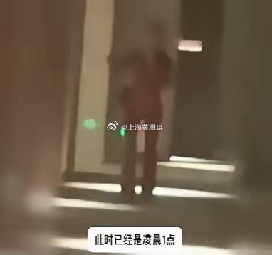 曝包贝尔出轨8月26日狗仔放出完整跟拍实锤视频，八月中旬包贝尔与红发女子一同就餐
