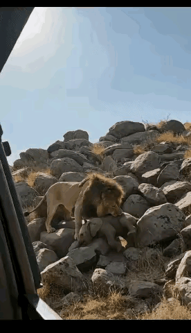 在绝对力量面前还是远离吧。