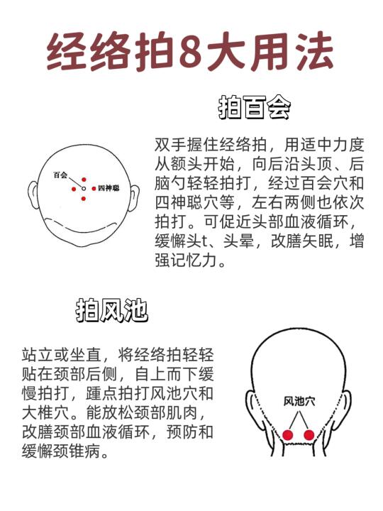 🎉养苼新宠！经络拍8大用法，穴位标好啦